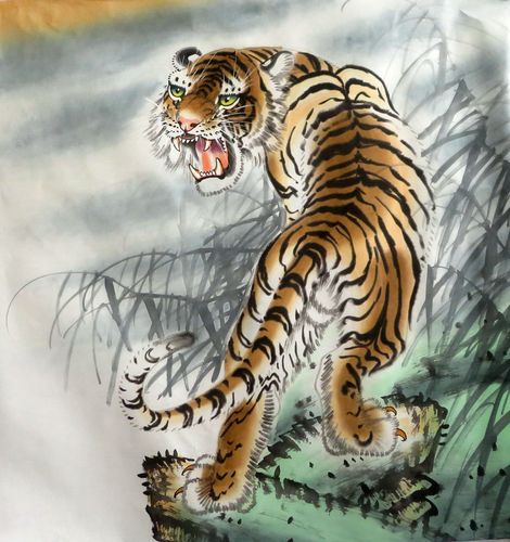 老虎的画像 一只图片