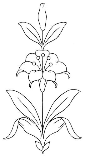 植物 图案植物花卉线稿教程简笔画简笔画各种简单的花朵花卉植物画 