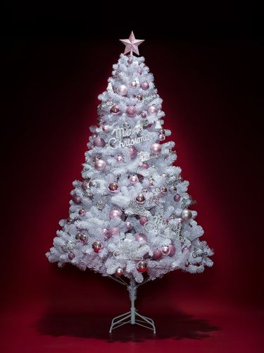 圣诞树的装饰 圣诞树的装饰品