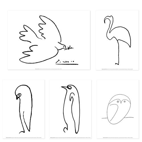 画鸟的简笔画 如何画鸟简笔画步骤