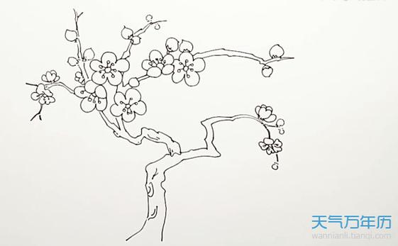 桃树画法简笔画