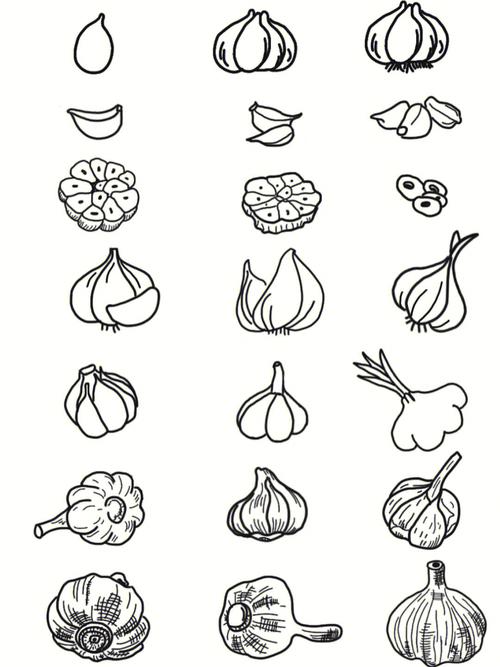大蒜的简笔画怎么画 大蒜的简笔画怎么画大蒜生长过程自然小报