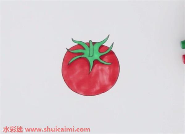 番茄简笔画 番茄简笔画图片带颜色
