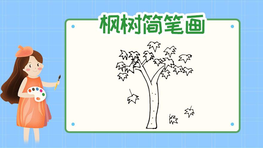 枫树图片简笔画