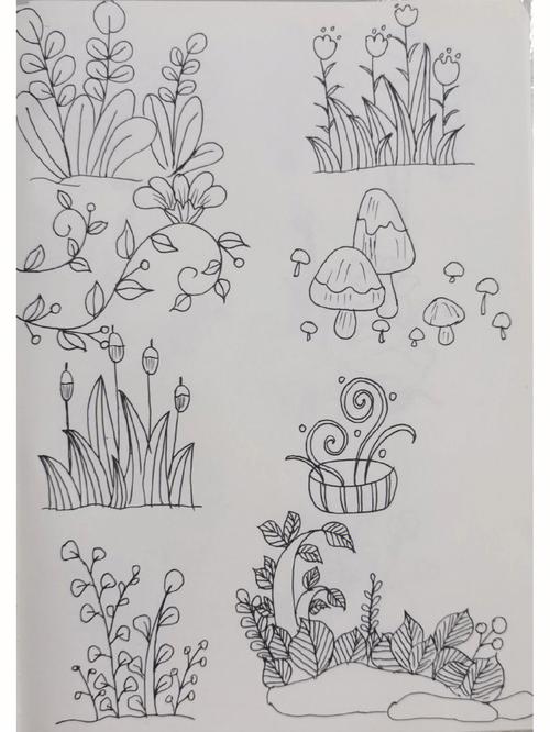 100种可爱植物简笔画 100种可爱植物简笔画儿童简笔画