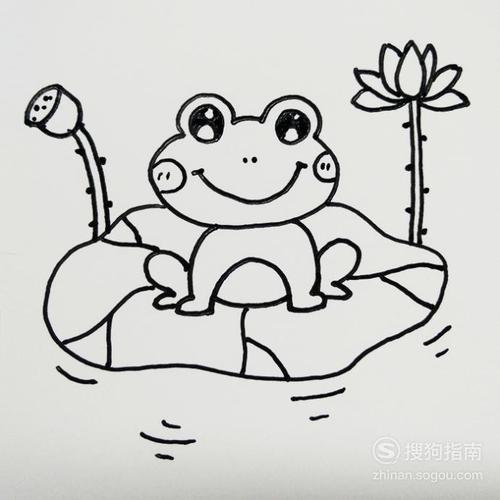 荷叶青蛙简笔画