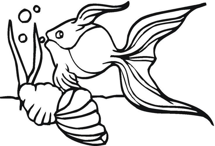 金鱼怎么画 金鱼怎么画简单又好看