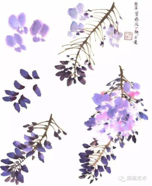 国画紫藤的画法 国画紫藤花画法步骤视频