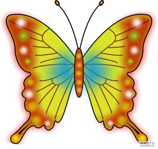 蝴蝶的简单画法 各种蝴蝶的简单画法