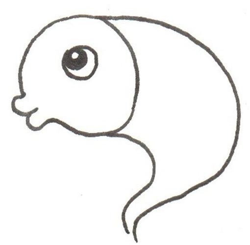 二年级小鲤鱼手抄报简笔画