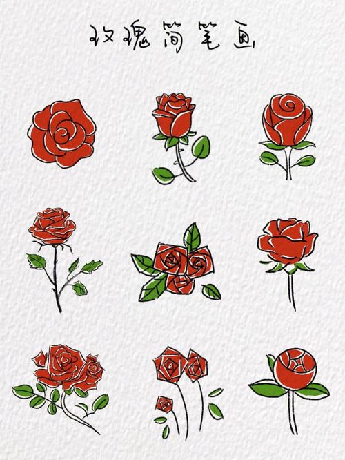 玫瑰图片简笔画 玫瑰图片简笔画手绘彩色
