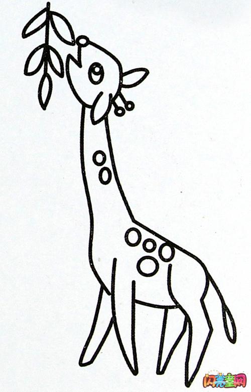 长颈鹿简笔画 长颈鹿简笔画彩色