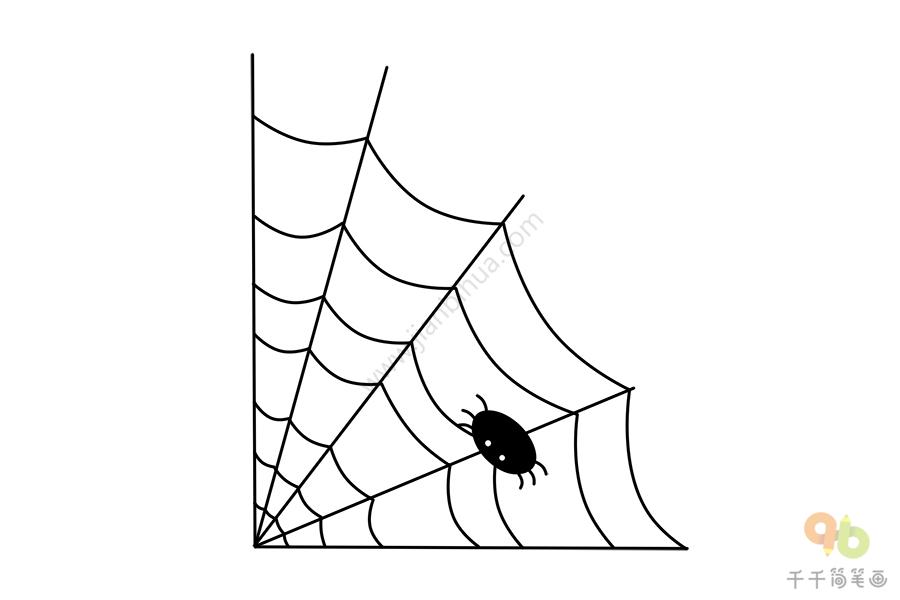 蜘蛛网简笔画 