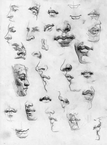 初学者素描画鼻子 初学者素描画鼻子的步骤图