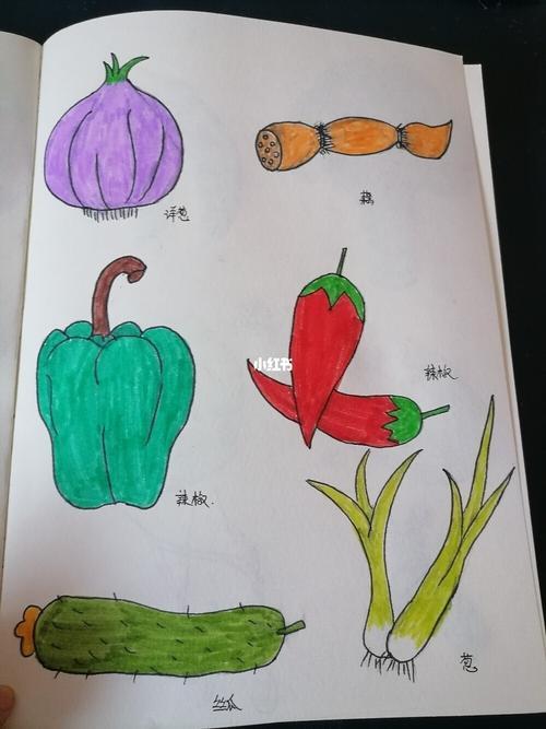 蔬菜图片大全简笔画 蔬菜图片大全简笔画彩色