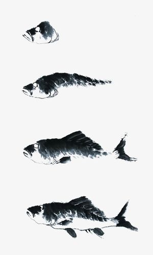 水墨画鱼的画 水墨画鱼的画法