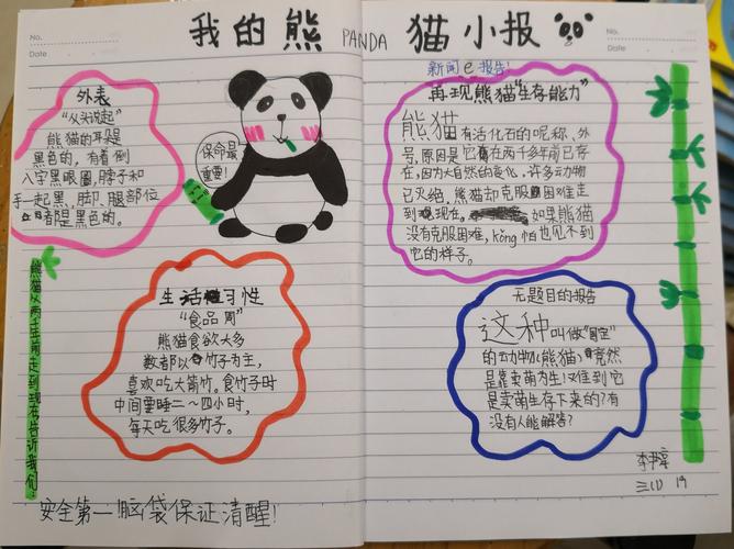熊猫手抄报怎么画