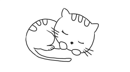 猫咪简笔画怎么画 猫咪简笔画怎么画可爱