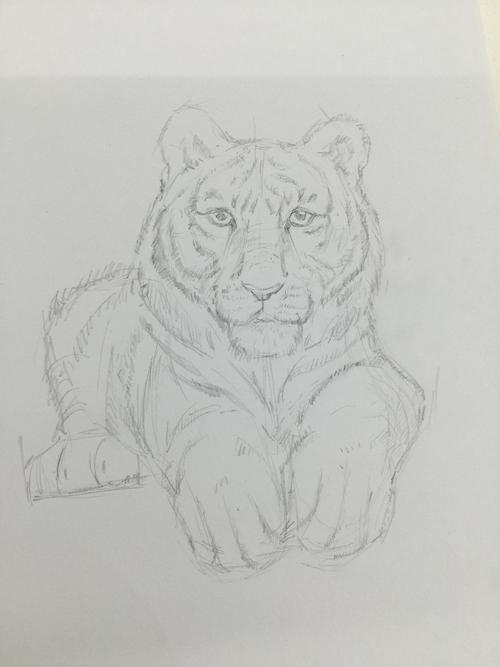如何画一只老虎 如何画一只老虎简笔画
