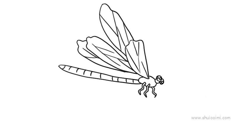 蜻蜓怎么画超级漂亮