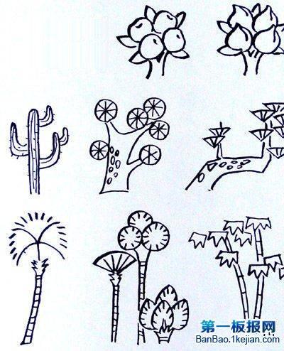 100种树简笔画 7一9岁儿童画