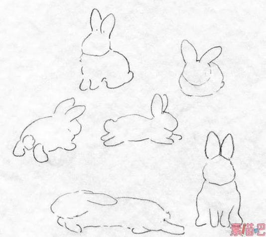 趴着兔子简笔画