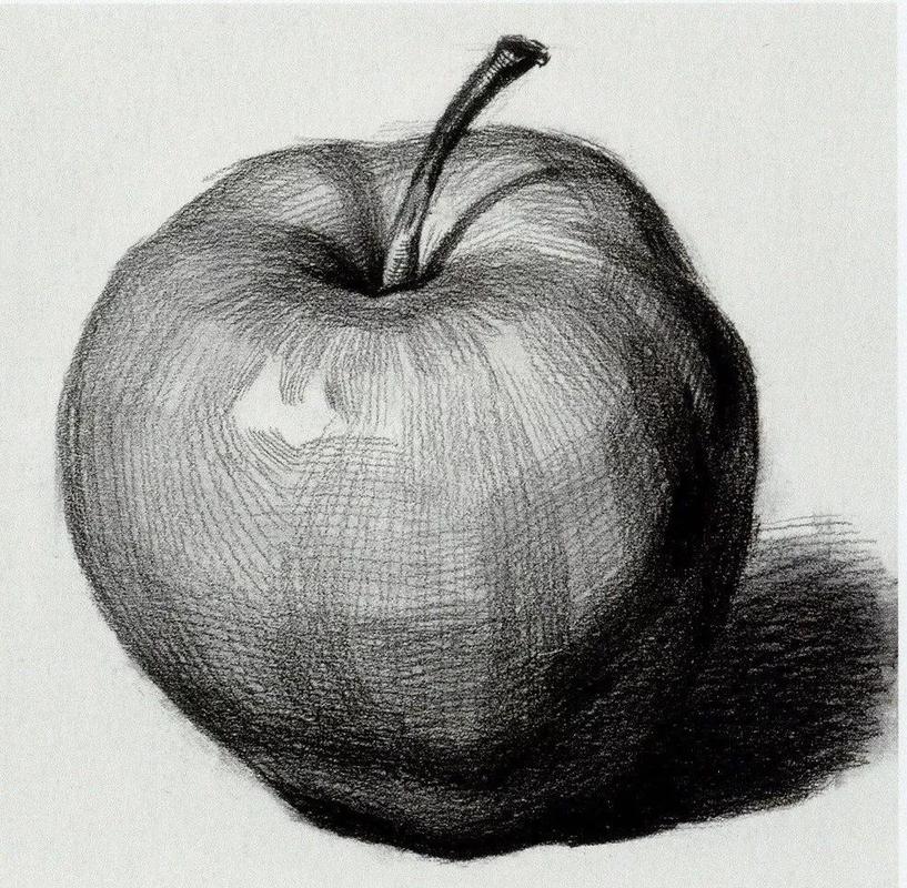素描水果图片 素描水果图片步骤简单