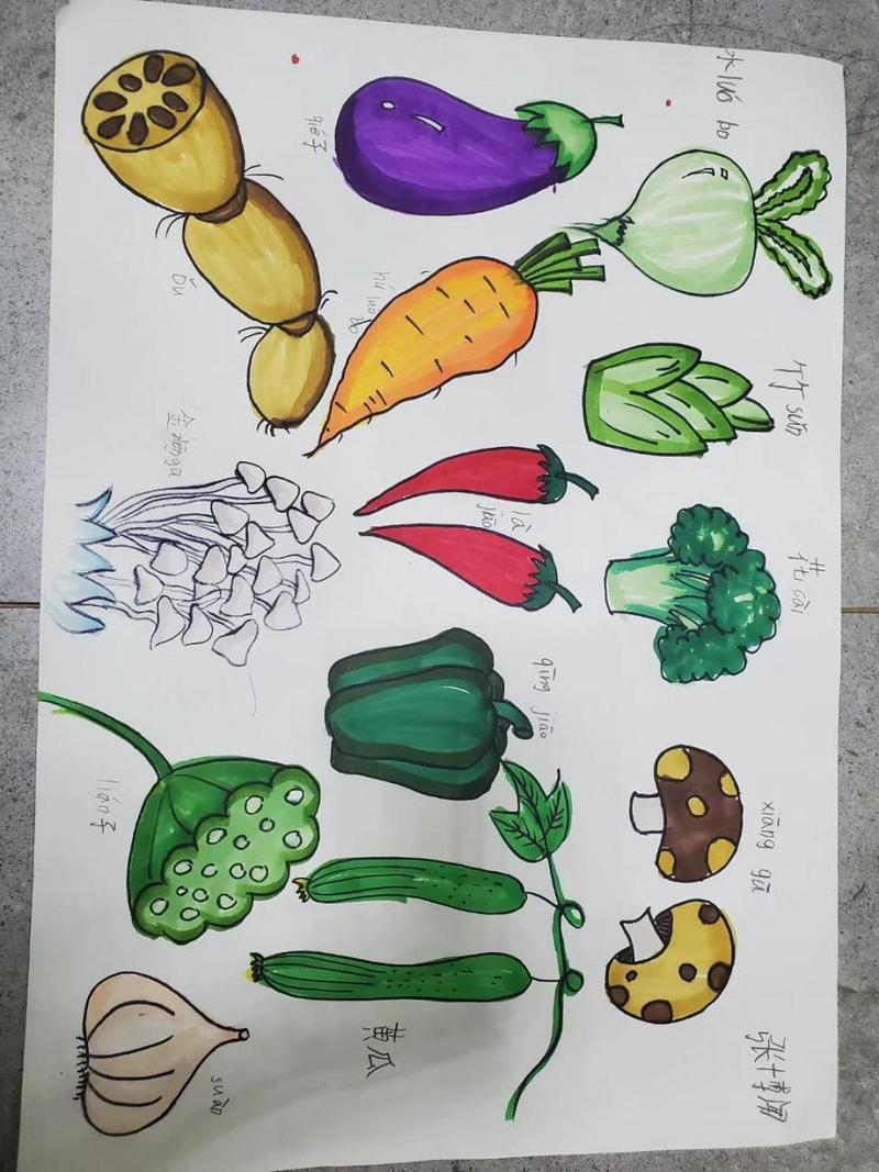 关于蔬菜的手抄报模板