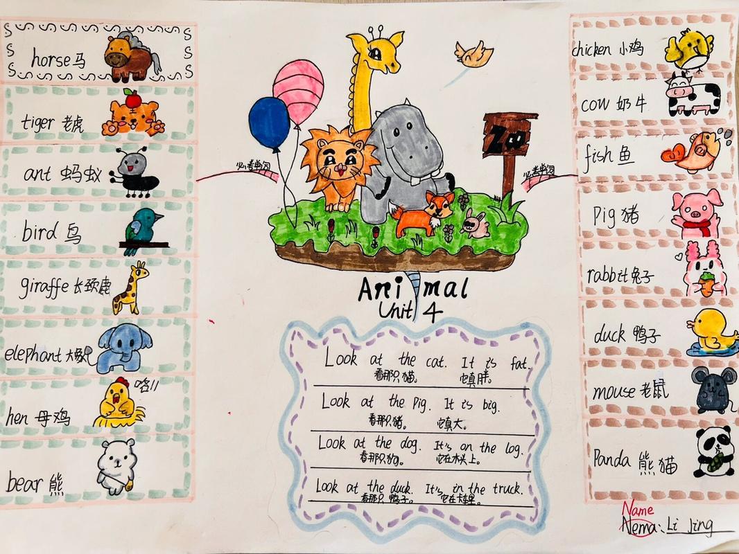 关于动物的思维导图 关于动物的思维导图英语的六年级好看