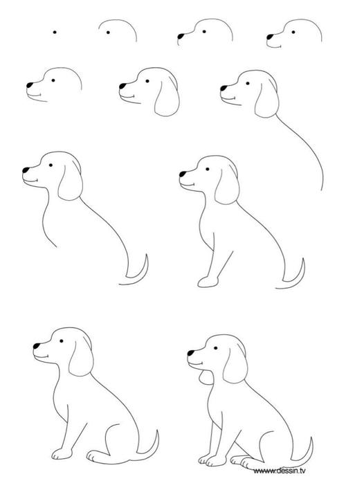 小狗的简笔画简单又好看 很简单的小狗简笔画