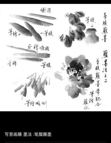 中国画的墨法 中国画的墨法有哪些