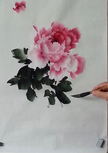 国画牡丹花的画法 国画牡丹花的画法步骤视频教程