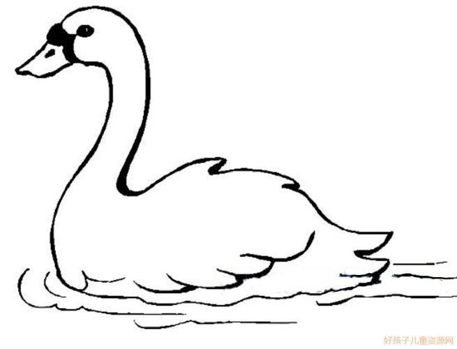 鹅的简笔画怎么画 大白鹅的简笔画怎么画