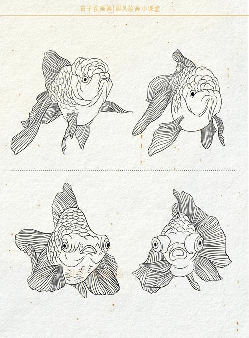 金鱼图片简笔画 金鱼图片简笔画彩色卡通
