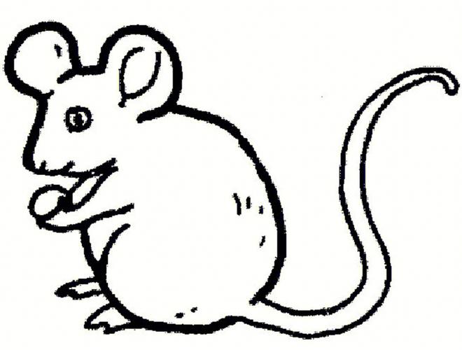 老鼠简笔画7 2