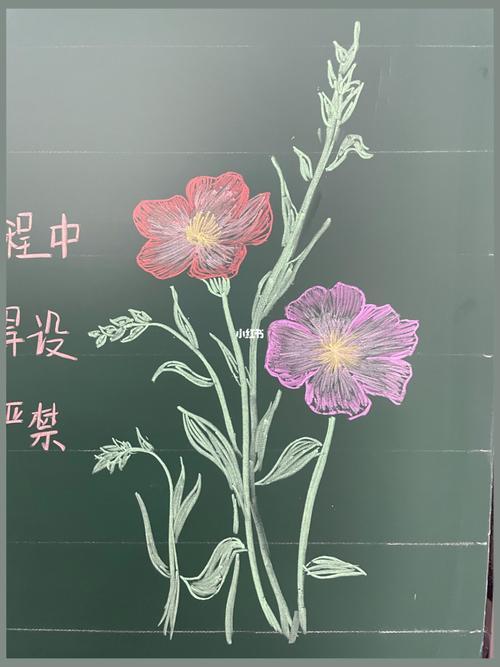 黑板报简单花朵