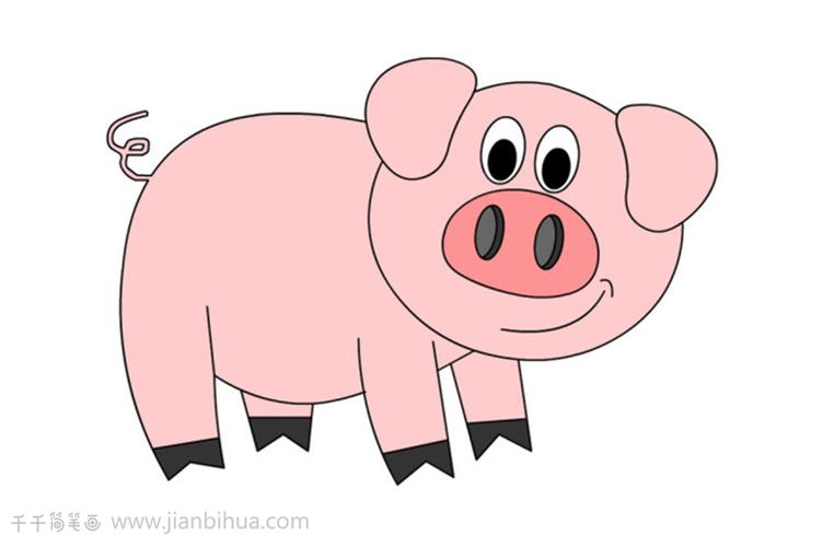 猪简笔画彩色