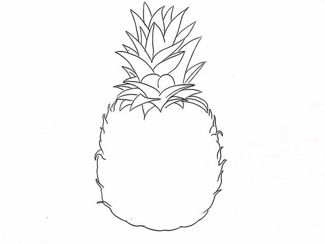 菠萝的简笔画怎么画