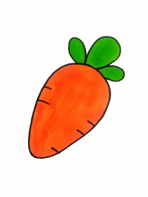 胡萝卜的画法简笔画图片