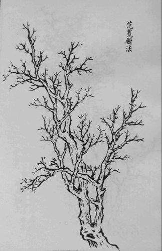 国画树的画法 国画树的画法视频教程