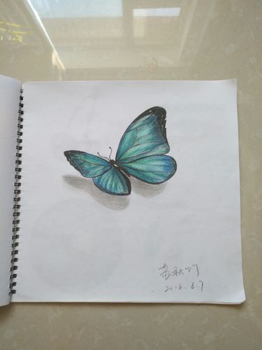蝴蝶怎么画漂亮又简单 蝴蝶怎么画漂亮又简单图片