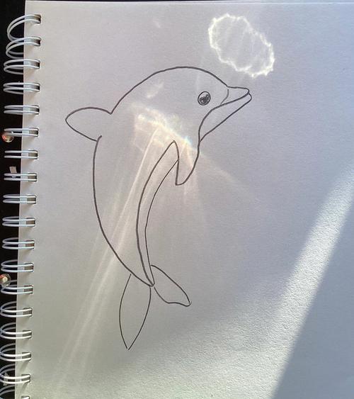 小海豚简笔画 怎么画小海豚简笔画