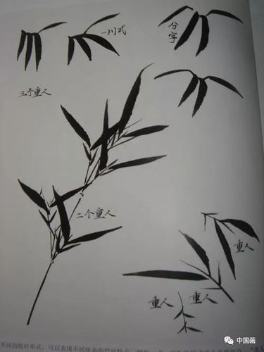 竹子怎么画 竹子怎么画水墨