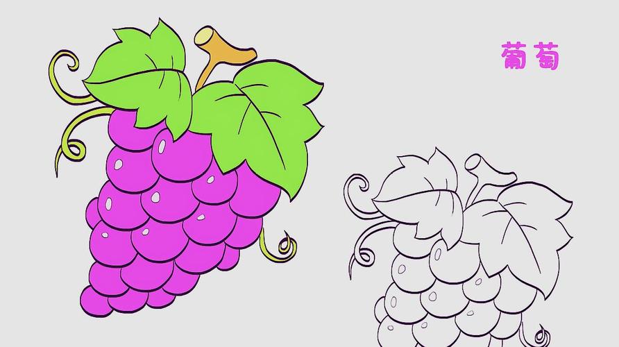 怎么画葡萄 怎么画葡萄简笔画图片