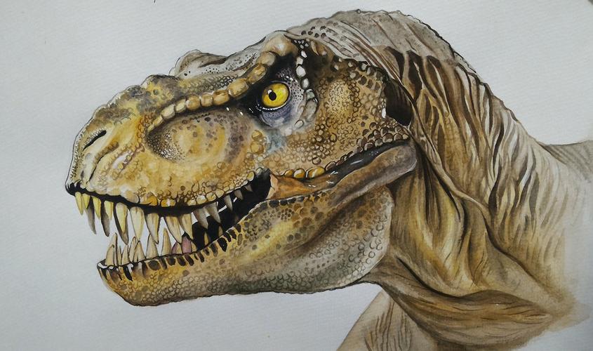 侏罗纪公园霸王龙素描图片