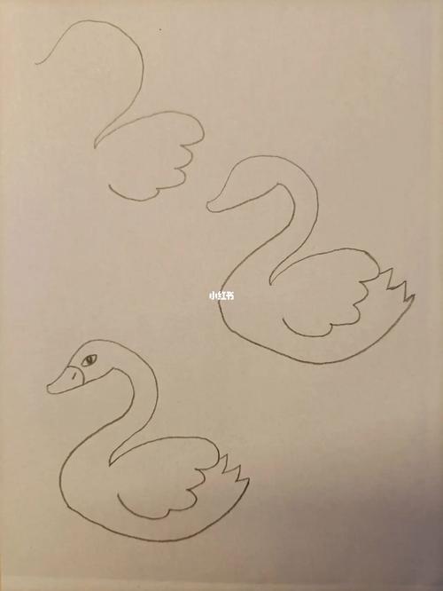 天鹅的画法简笔画 天鹅的画法简笔画