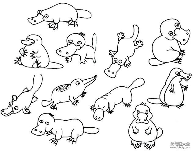 哺乳动物简笔画 哺乳动物简笔画图片大全
