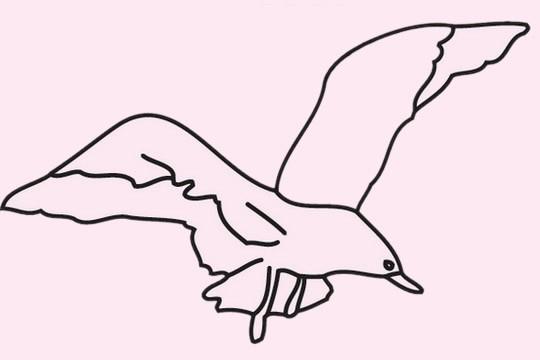 三笔一画海鸥简笔画图片 v型海鸥的画法