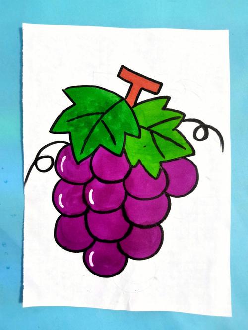 葡萄简笔画图片带颜色 葡萄简笔画图片带颜色可爱