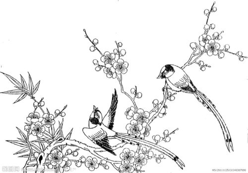 树和喜鹊的画法图片图片